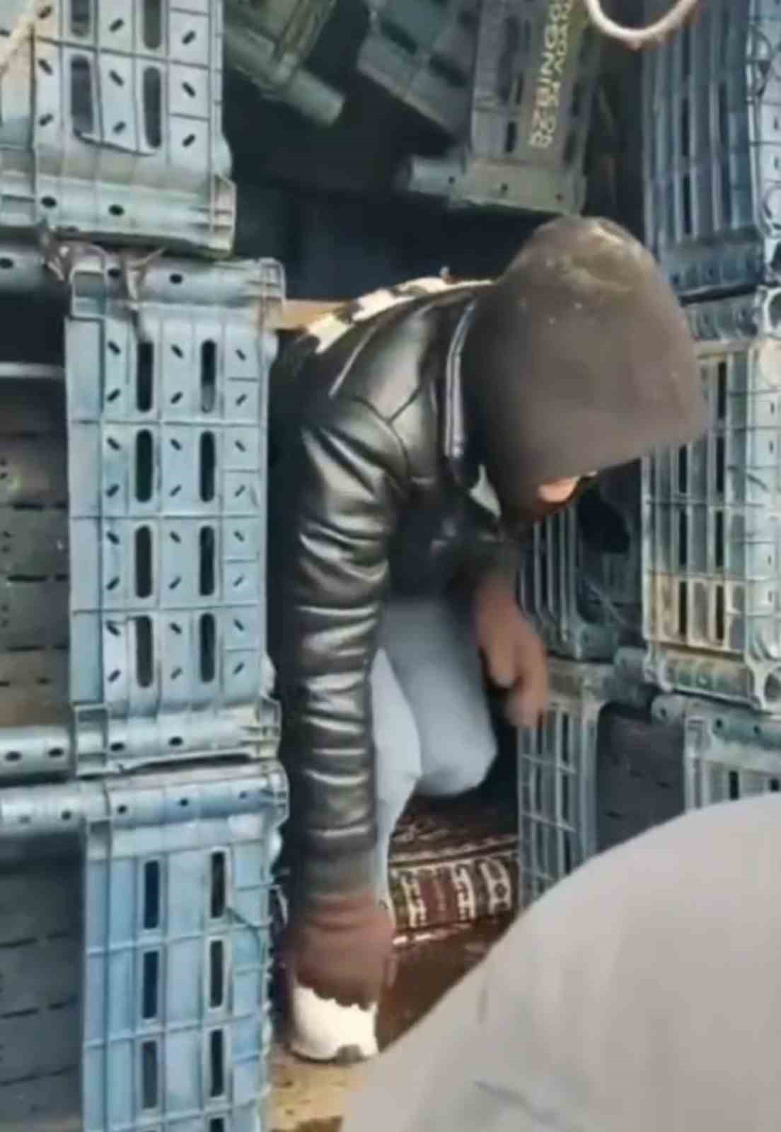 D&uuml;zce&rsquo;de 13 d&uuml;zensiz g&ouml;&ccedil;men yakalandı
