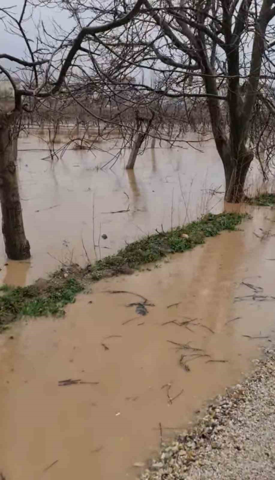 Selendi’de çay ve dereler taştı