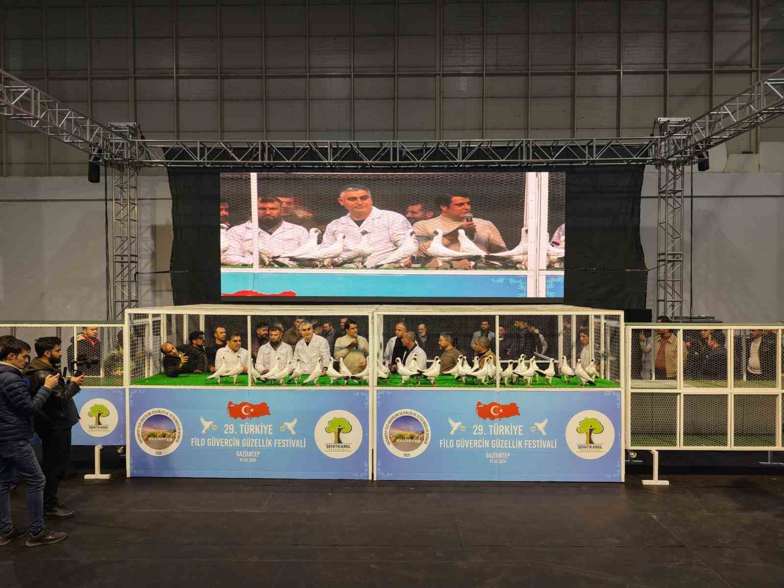 Gaziantep’te ’29. Türkiye Filo Güvercin Güzellik Festivali’ düzenlendi