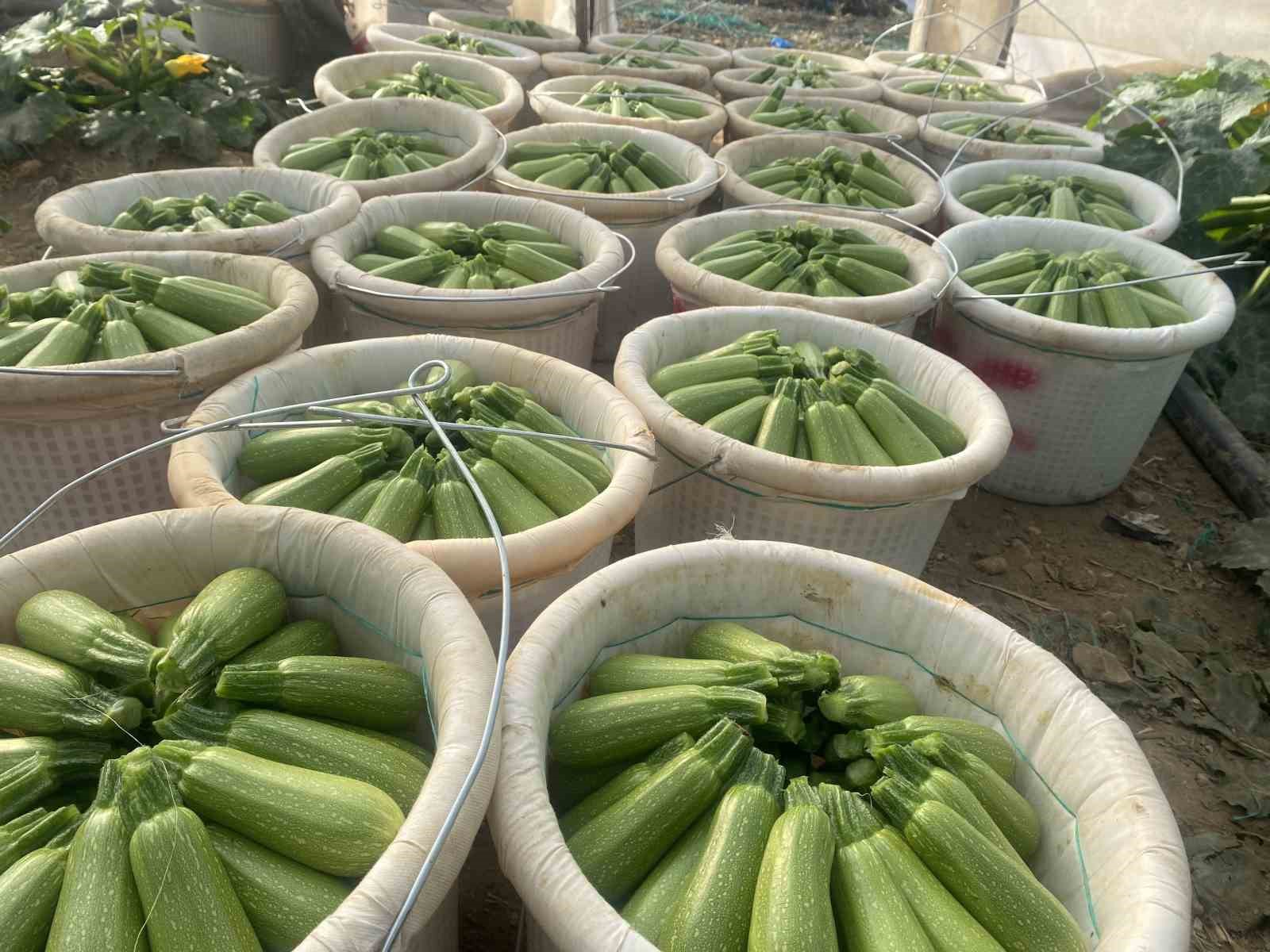 Antalya Ticaret Borsası, Ocak ayı hal endeksini a&ccedil;ıkladı
