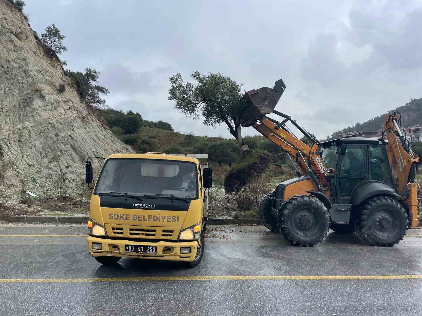 Dağdan kopan zeytin ağacı karayolunu ikiye b&ouml;ld&uuml;
