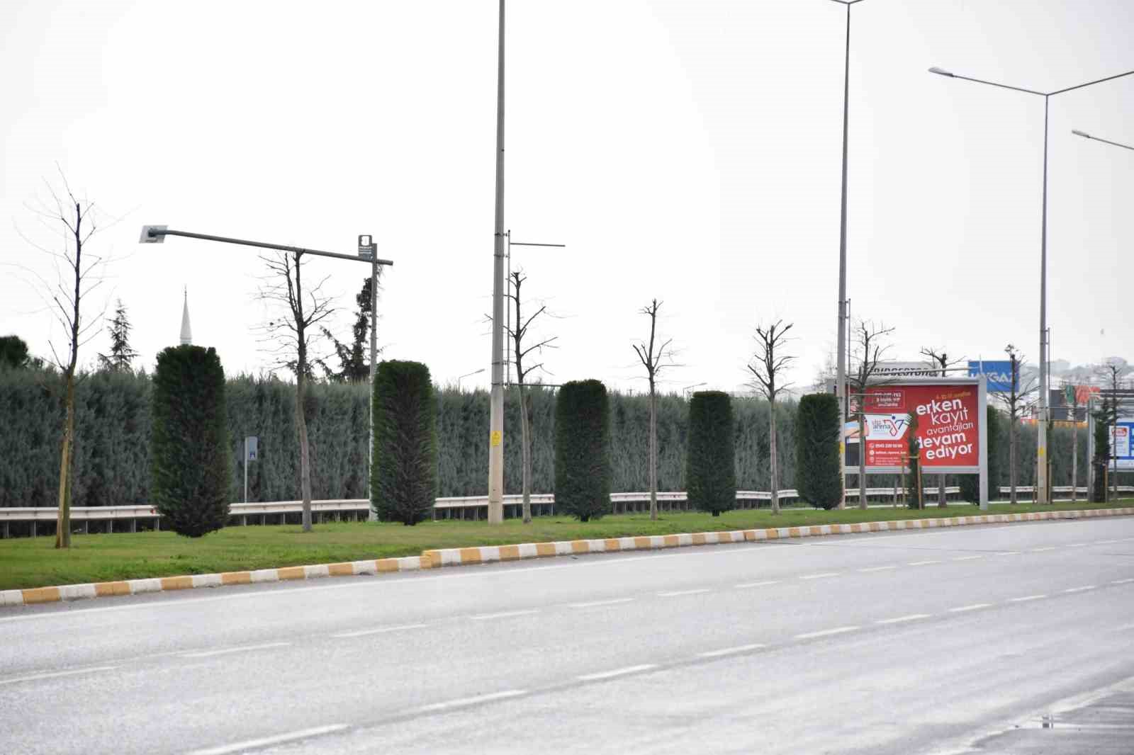 Balıkesir B&uuml;y&uuml;kşehirden 20 il&ccedil;eye peyzaj &ccedil;alışması
