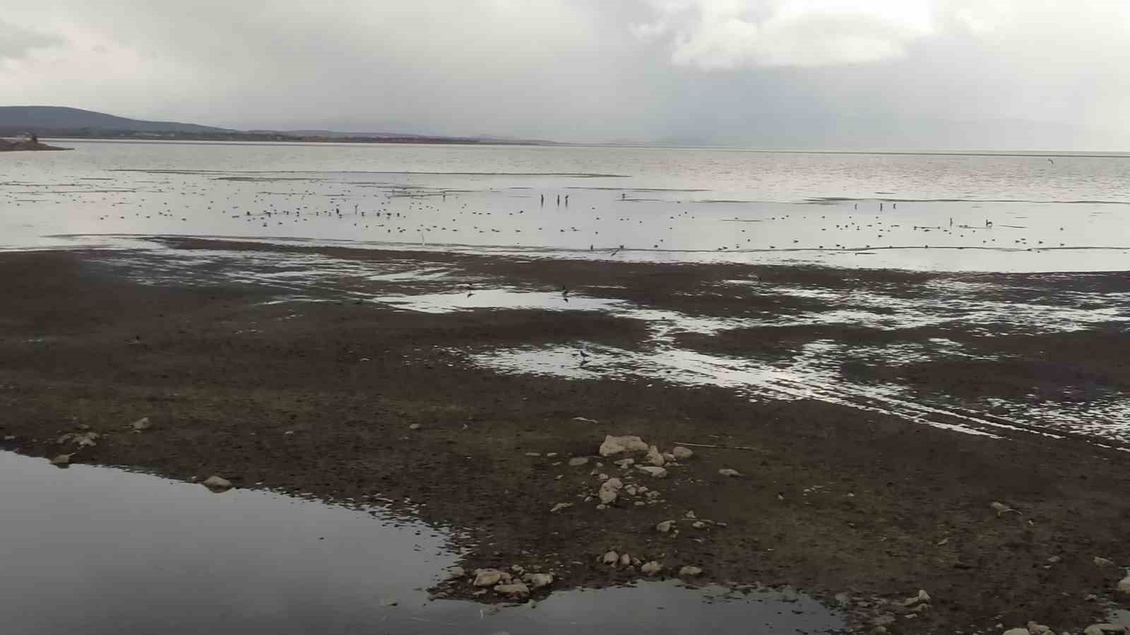 Son yağışlar Beyşehir G&ouml;l&uuml;ne umut oldu
