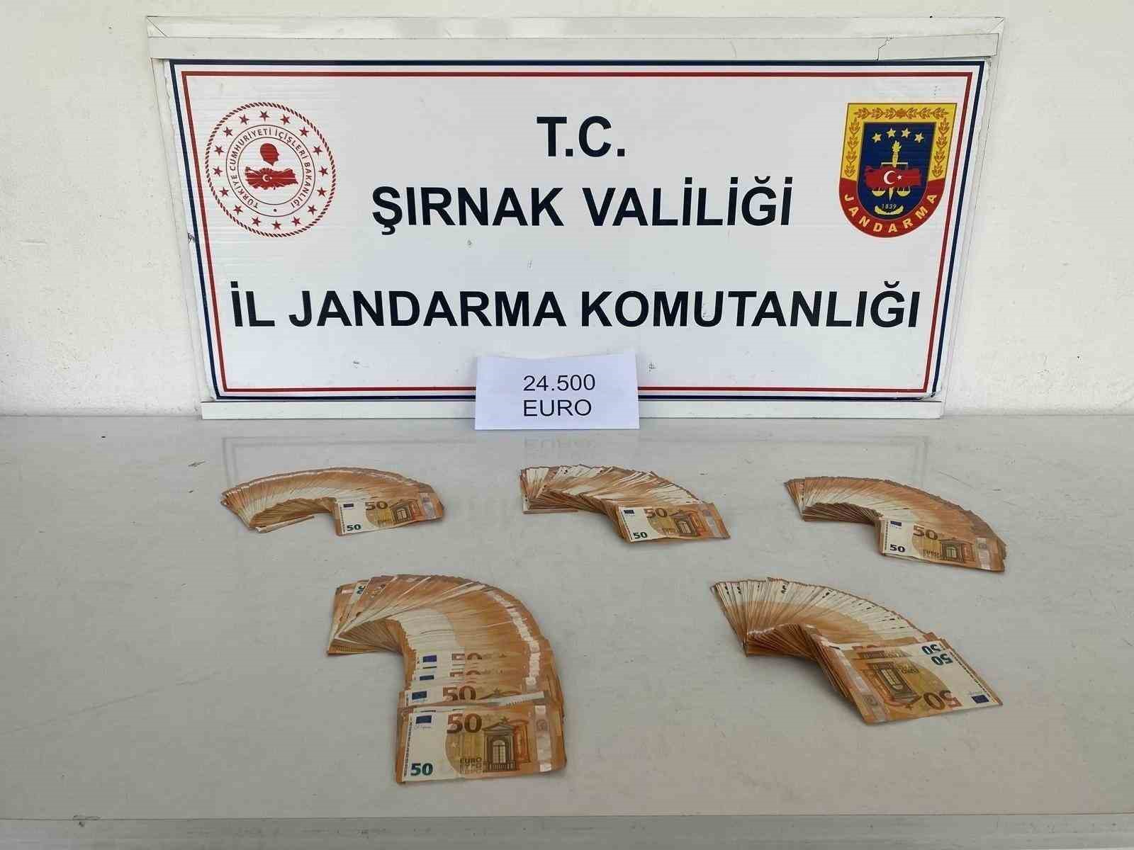 Şırnak’ta jandarmadan kaçakçılığa büyük darbe