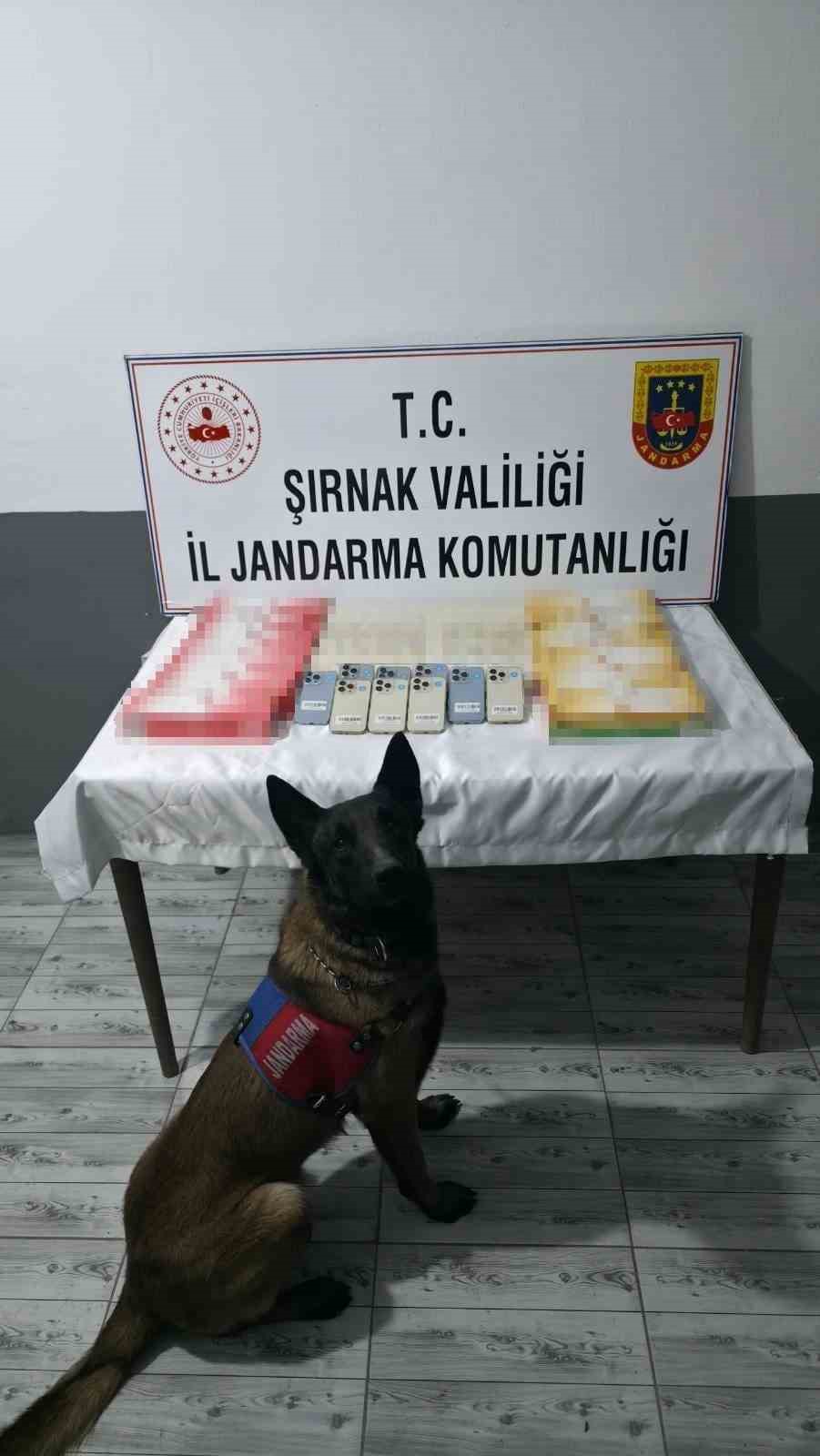 Şırnak’ta jandarmadan kaçakçılığa büyük darbe