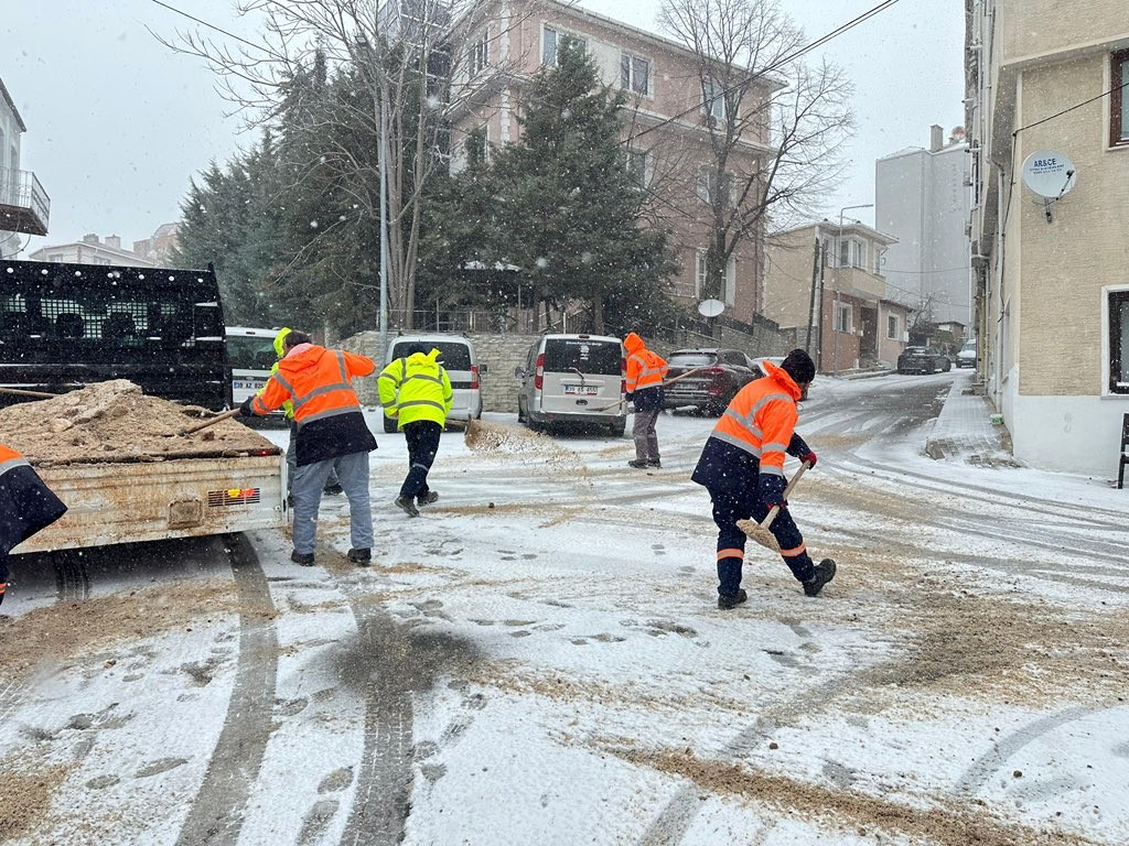 Kırklareli’nde solüsyonla ilaçlama ve tuzlama çalışmaları
