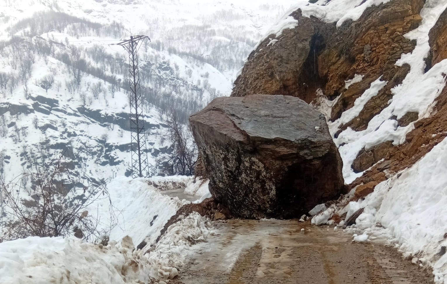 Bitlis’te yağış sonrası 6 farklı noktada heyelan meydana geldi