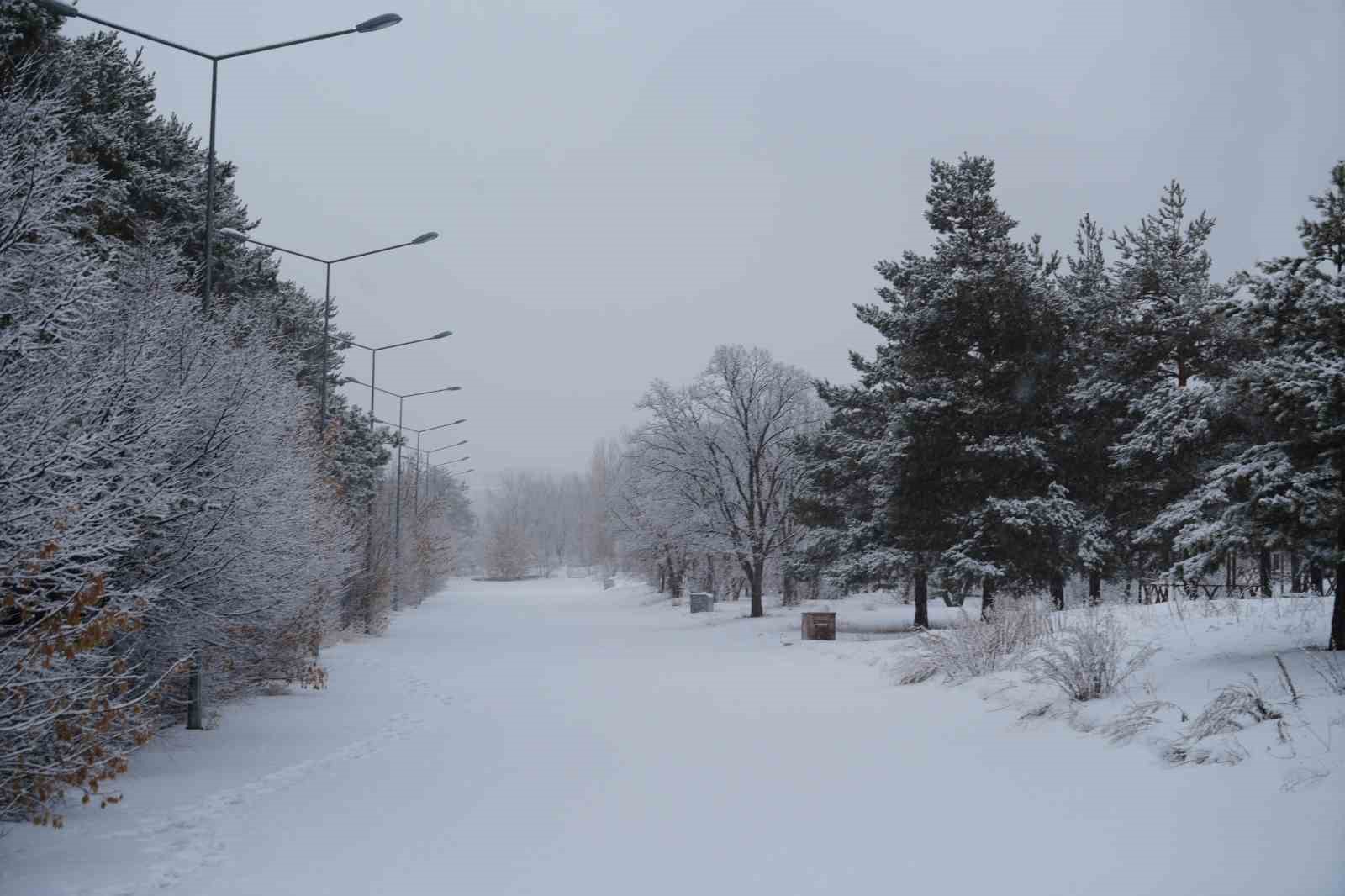 Erzurum’da kar yağışı etkili oluyor