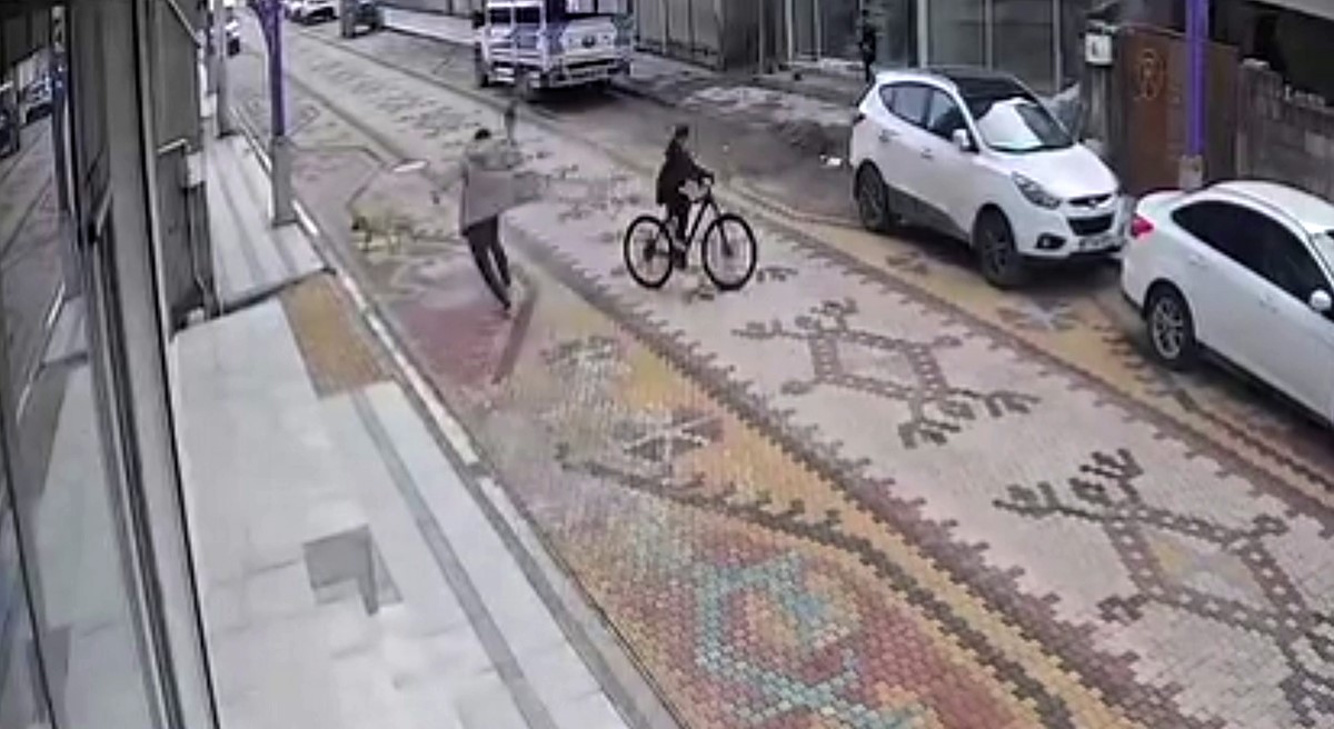 Mardin&rsquo;de sokak köpeklerinin saldırdığı çocuğu esnaf kurtardı