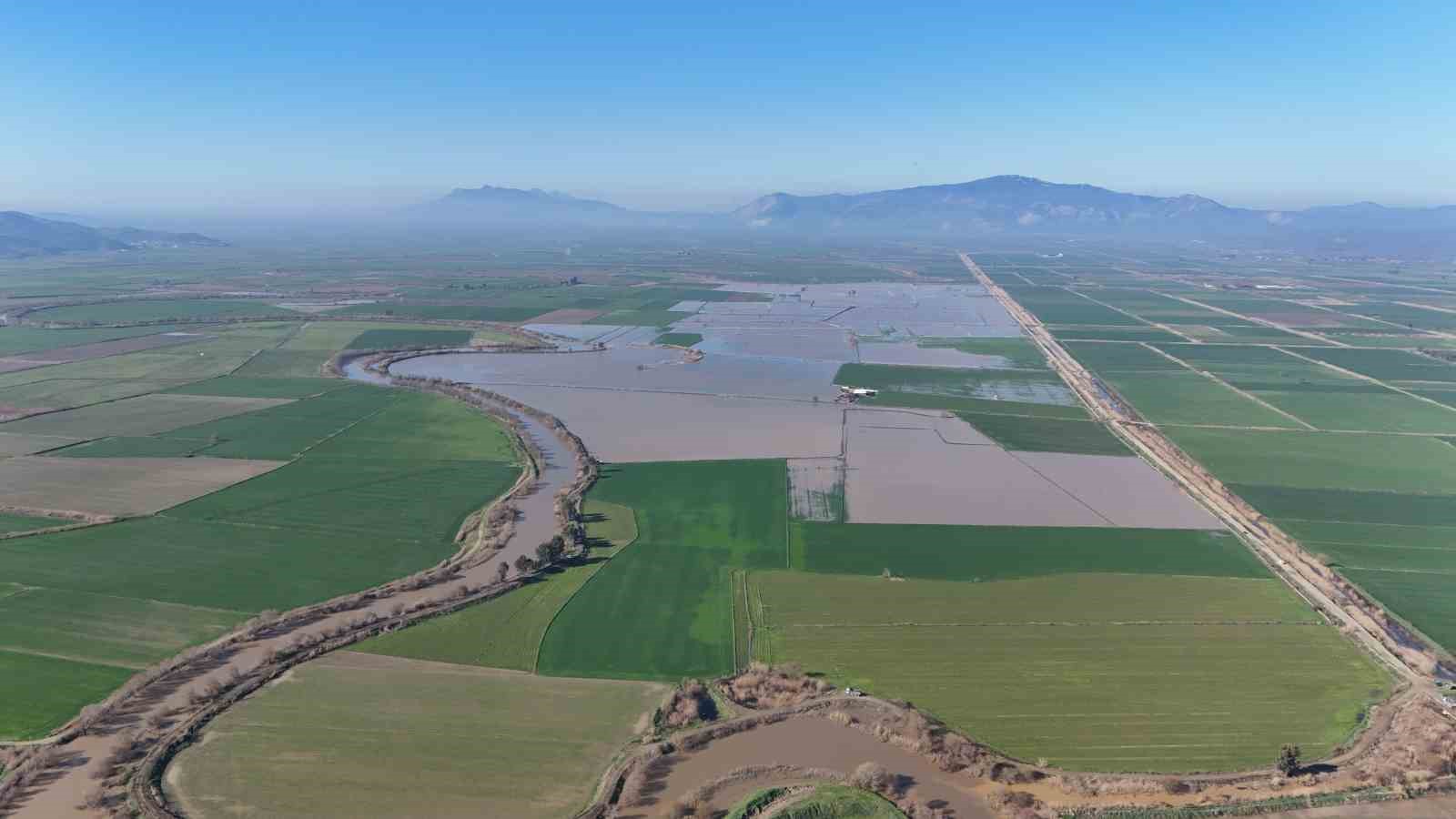 Menderes taştı, y&uuml;zlerce d&ouml;n&uuml;m sular altında kaldı
