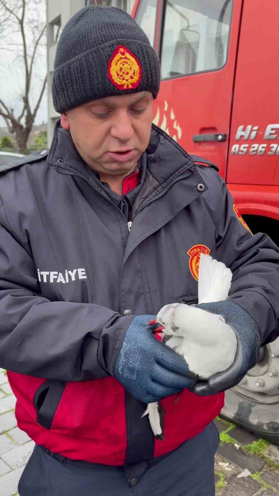 Tellerde mahsur kalan martıyı itfaiye ekipleri kurtardı
