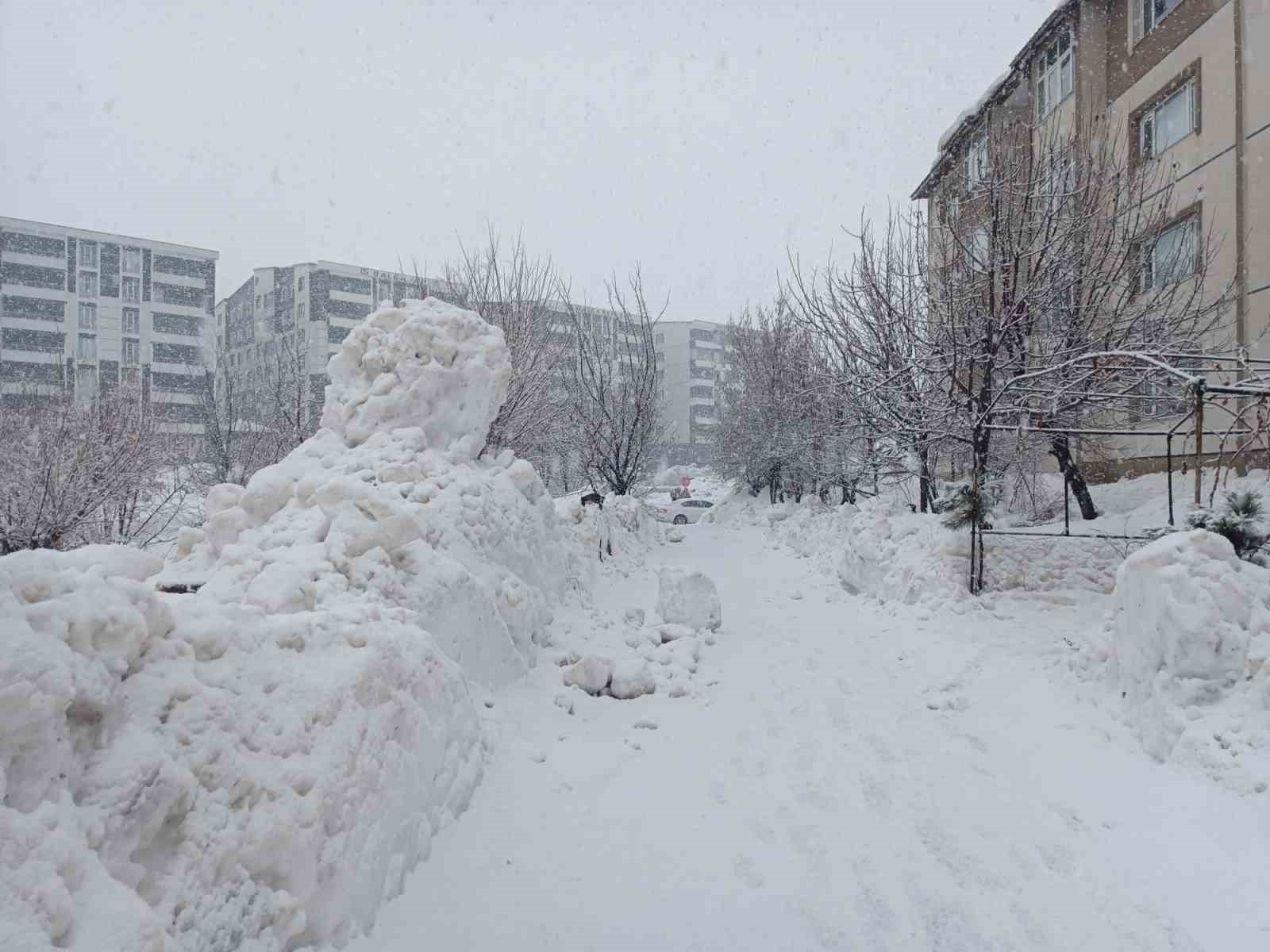 Bitlis’te kar yağışı yeniden etkili olmaya başladı