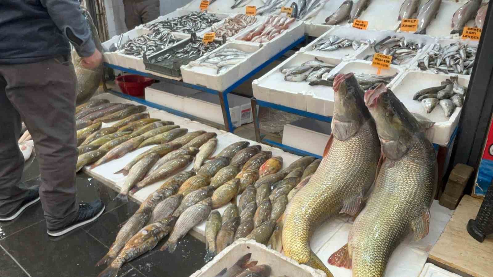 Batman’da 120 kiloluk dev turna balığı görenleri hayrete düşürdü