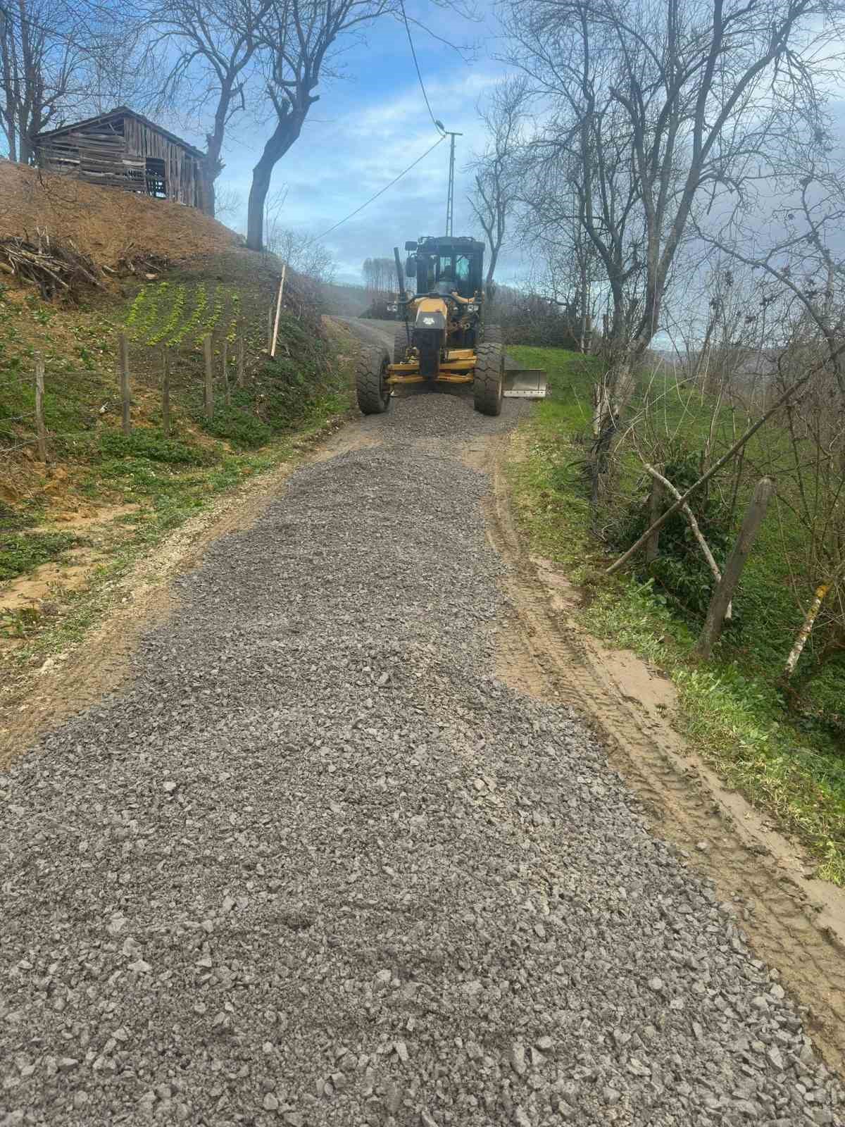 Iğdır köyünde bakım çalışmaları sürüyor