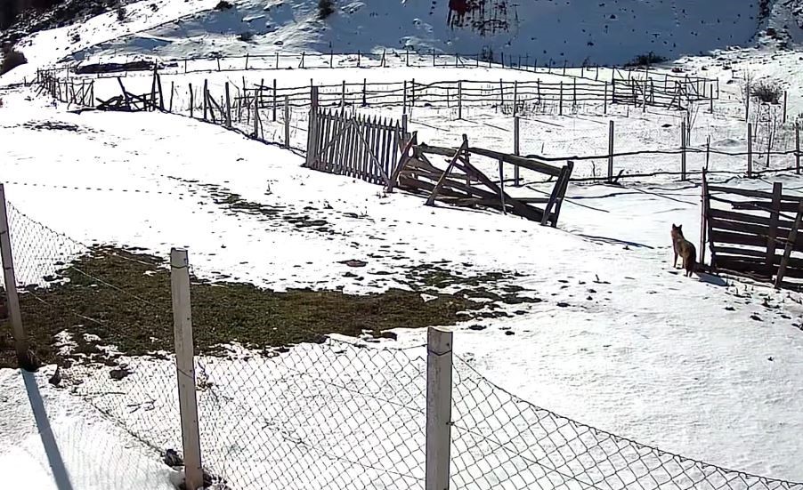 Tokat&rsquo;ta belgeselleri aratmayan k&ouml;y
