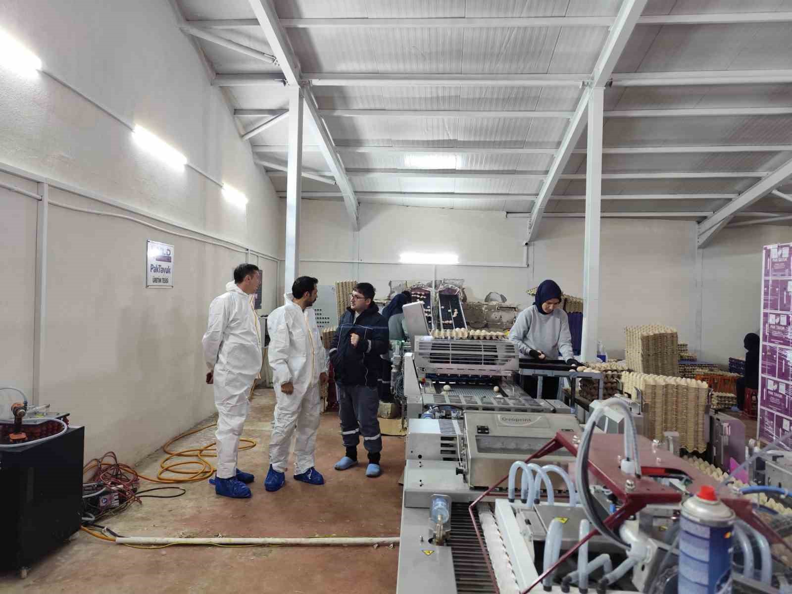 Çavdarhisar’da ticari yumurtacı kanatlı işletmesinde inceleme