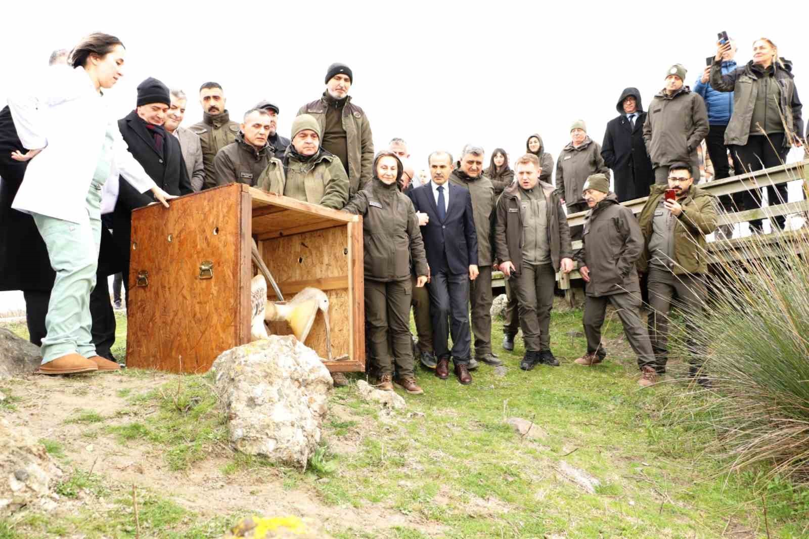 81 binden fazla göçmen kuş halkalandı