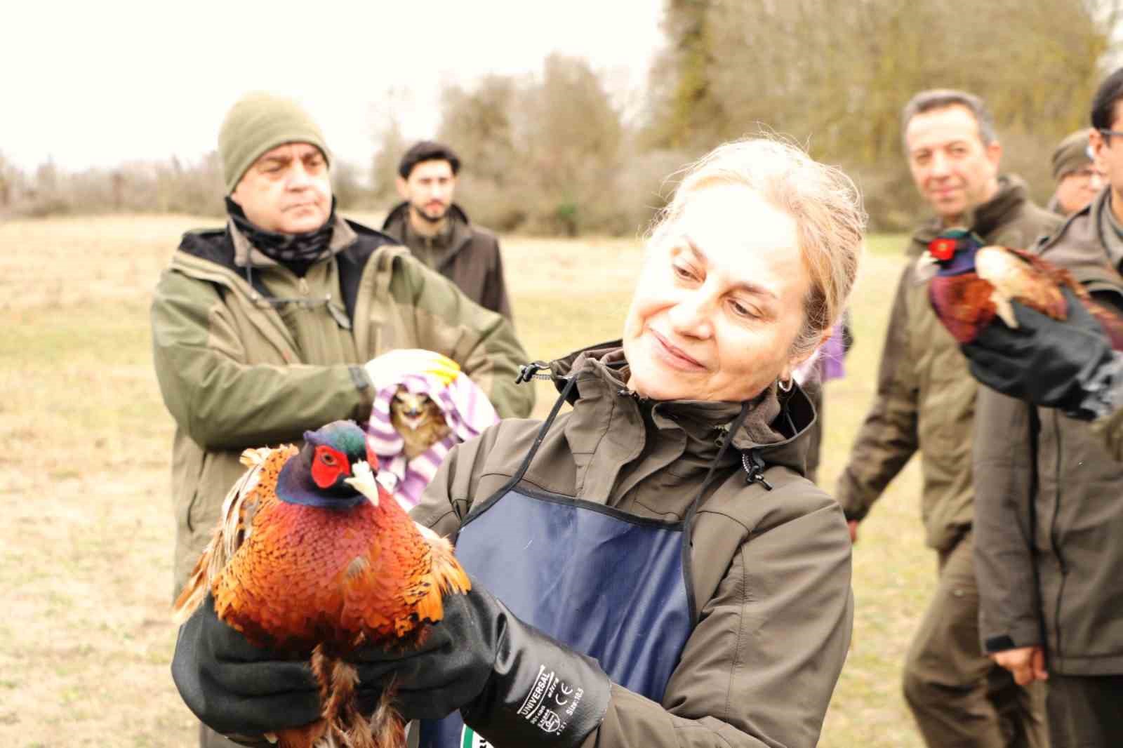 81 binden fazla g&ouml;&ccedil;men kuş halkalandı

