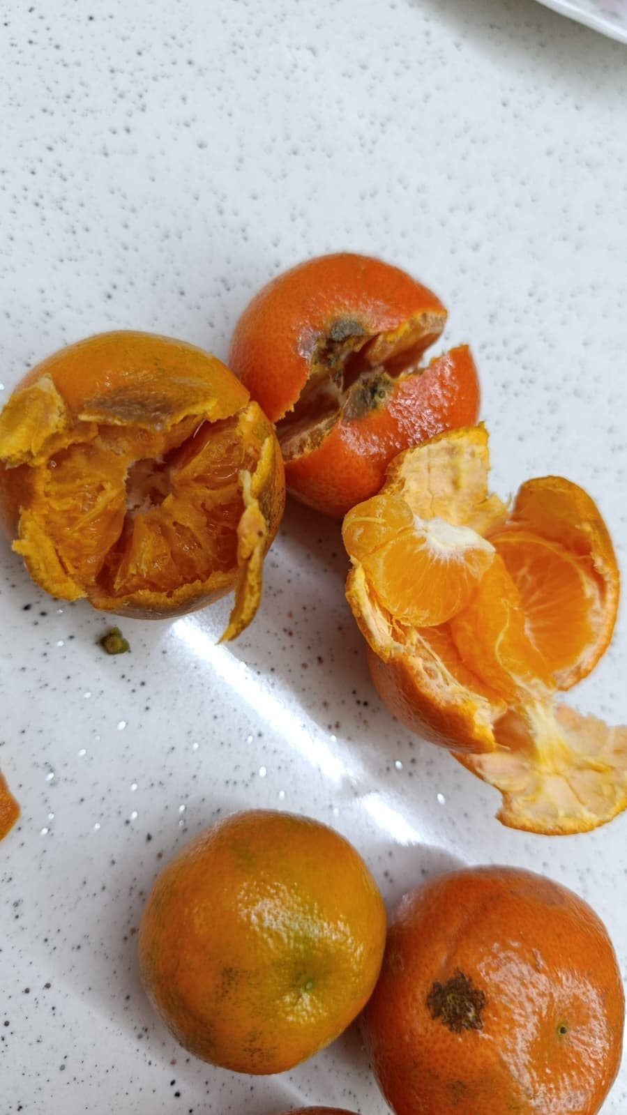 Pazardan aldığı 2 kilo mandalinanın yarısı &ccedil;&uuml;r&uuml;k &ccedil;ıktı
