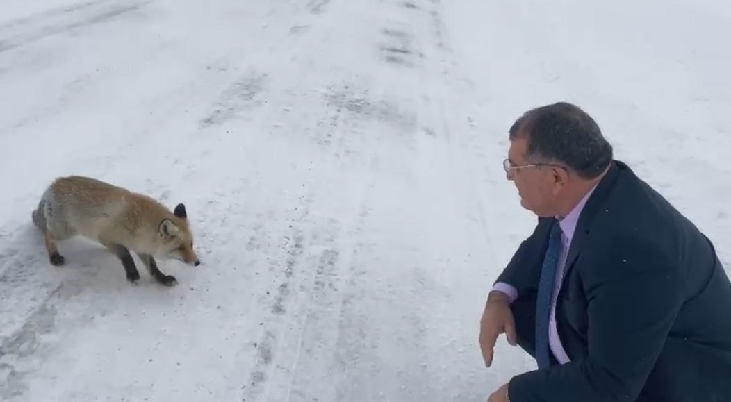 Sahara Geçidi’nde karşılaştığı tilkiye yiyecek verdi