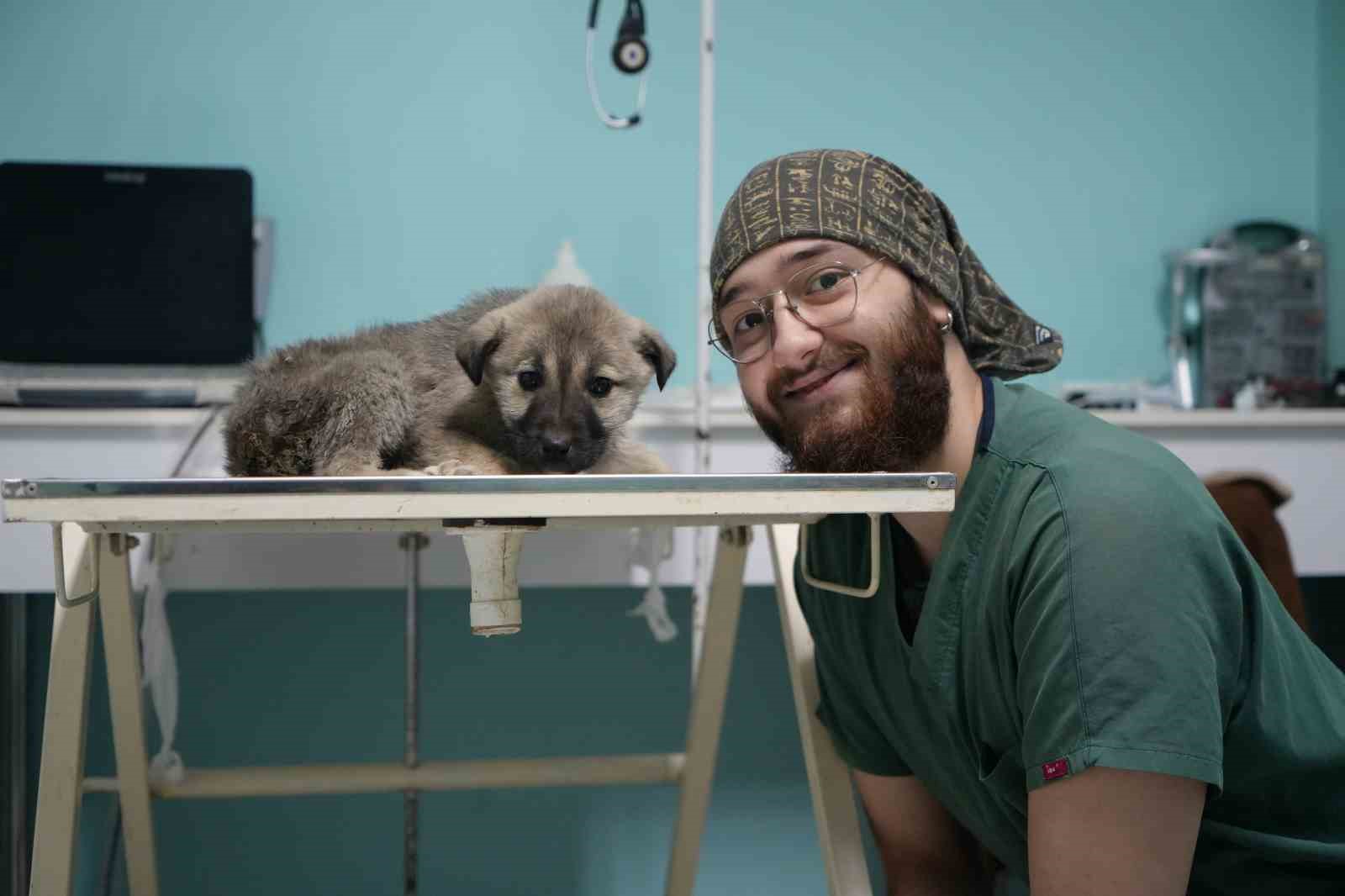 Bayburtlu şof&ouml;rden insanlık dersi: Başka s&uuml;r&uuml;c&uuml;n&uuml;n &ccedil;arpıp ka&ccedil;tığı yaralı k&ouml;peğe umut oldu
