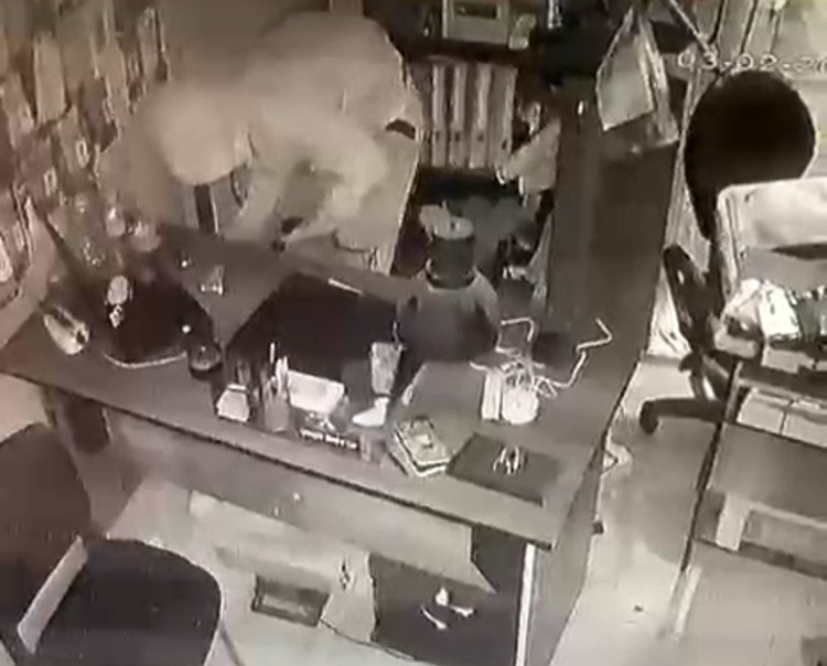 "Kedi bile zor girer" denilen pencereden girdi, sadece iPhone&rsquo;ları &ccedil;aldı
