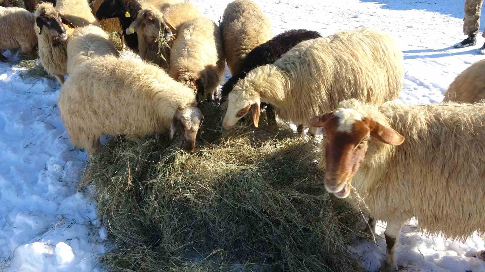 Van&rsquo;da besicilerin karda zorlu mesaisi s&uuml;r&uuml;yor
