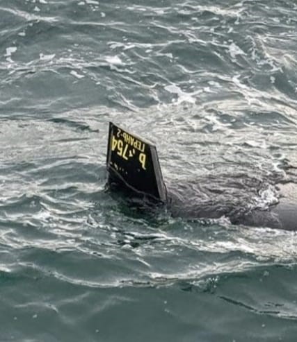 Arnavutköy Karaburun açıklarında balıkçılar denizde insansız hava aracı olduğu düşünülen bir cisim bulundu. Balıkçıların ihbarı üzerine bölgeye sahil güvenlik ekipleri sevk edildi. Ekiplerin incelemesi devam ediyor.
