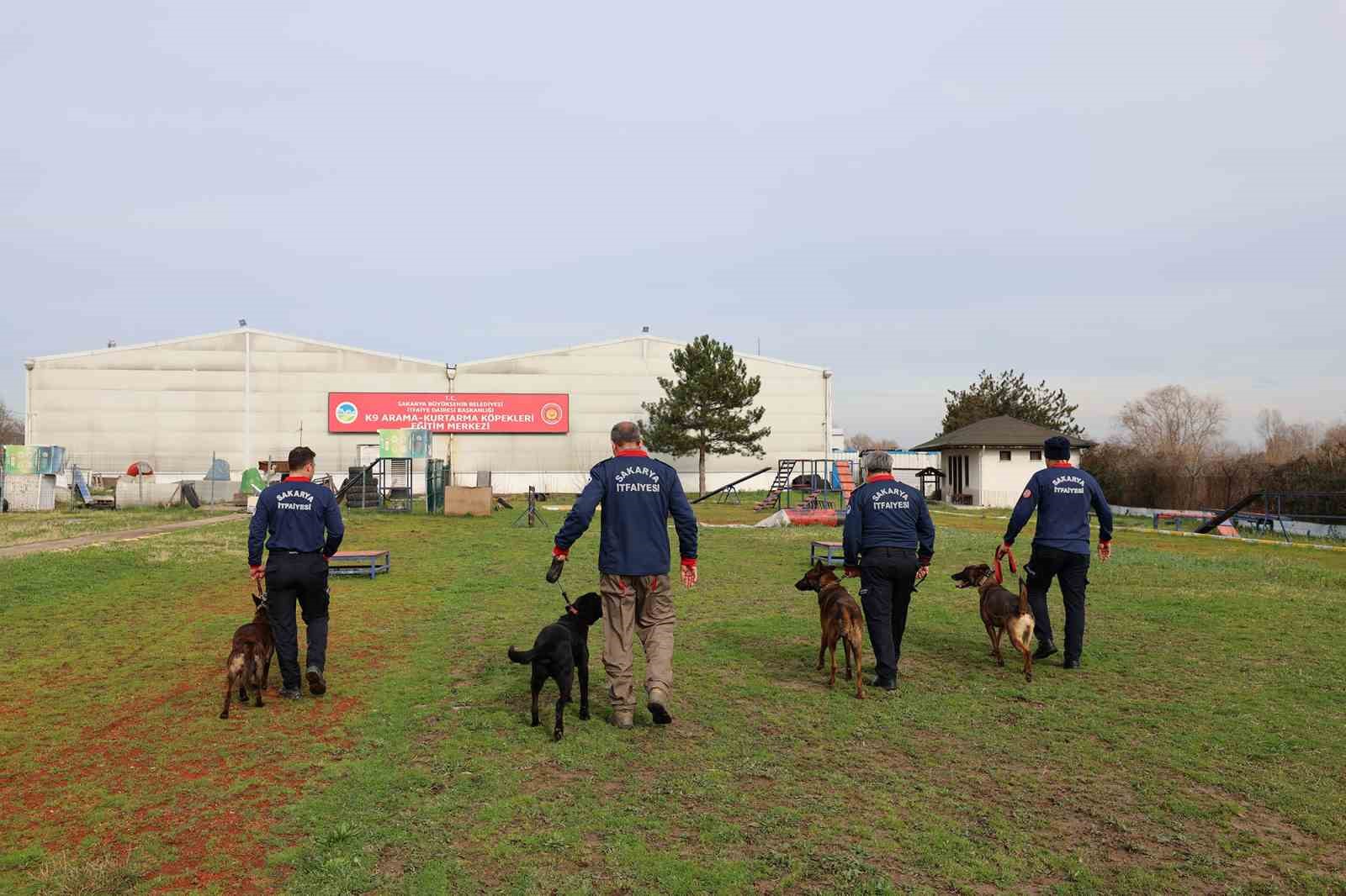 Sakarya itfaiyesinin eğitimli k&ouml;pekleri operasyonlar i&ccedil;in hazır kıta bekliyor
