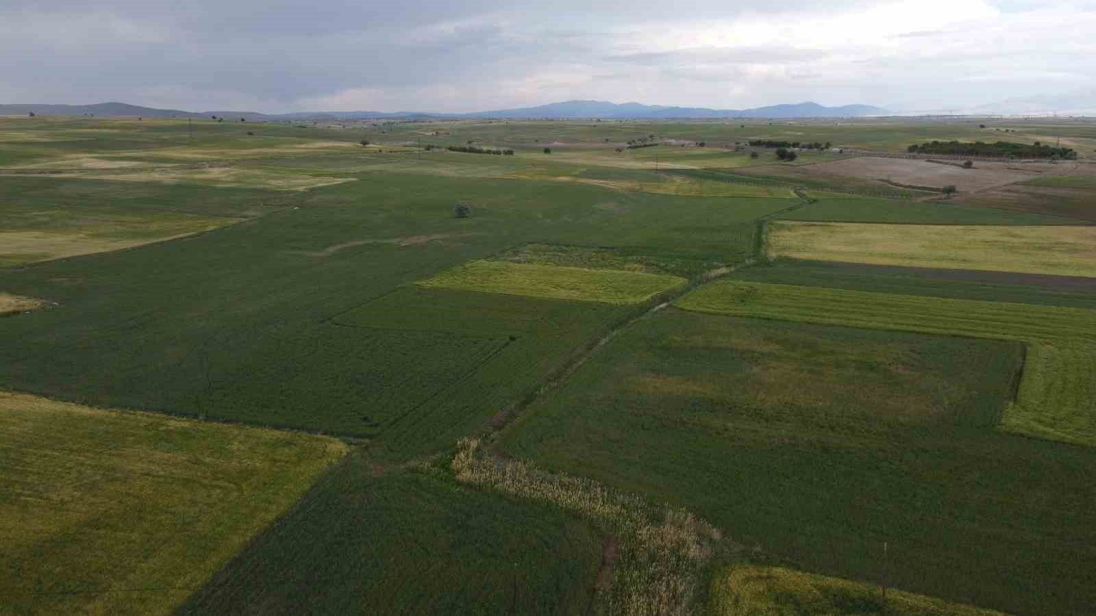 Konya&rsquo;da y&uuml;ksek kesimler yağışa doydu
