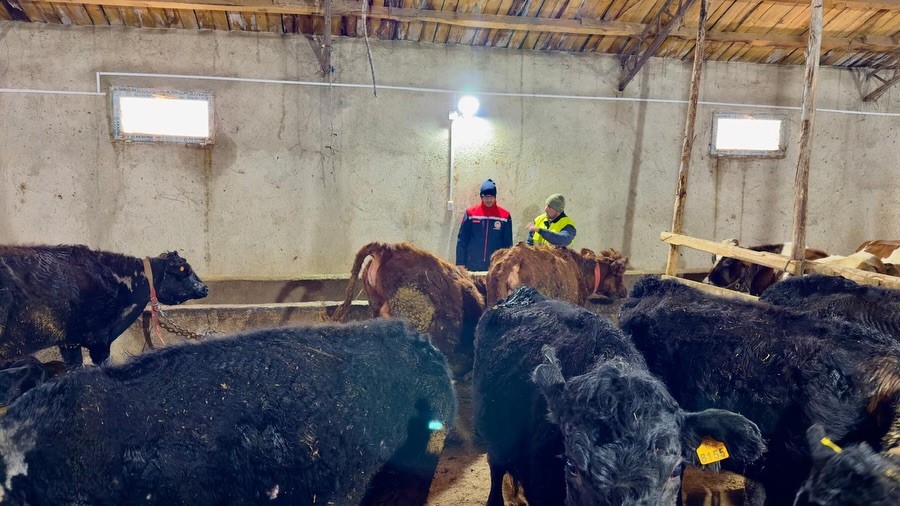 Aydıntepe&rsquo;de Kırsalda Bereket Projesi ile &uuml;retimler devam ediyor
