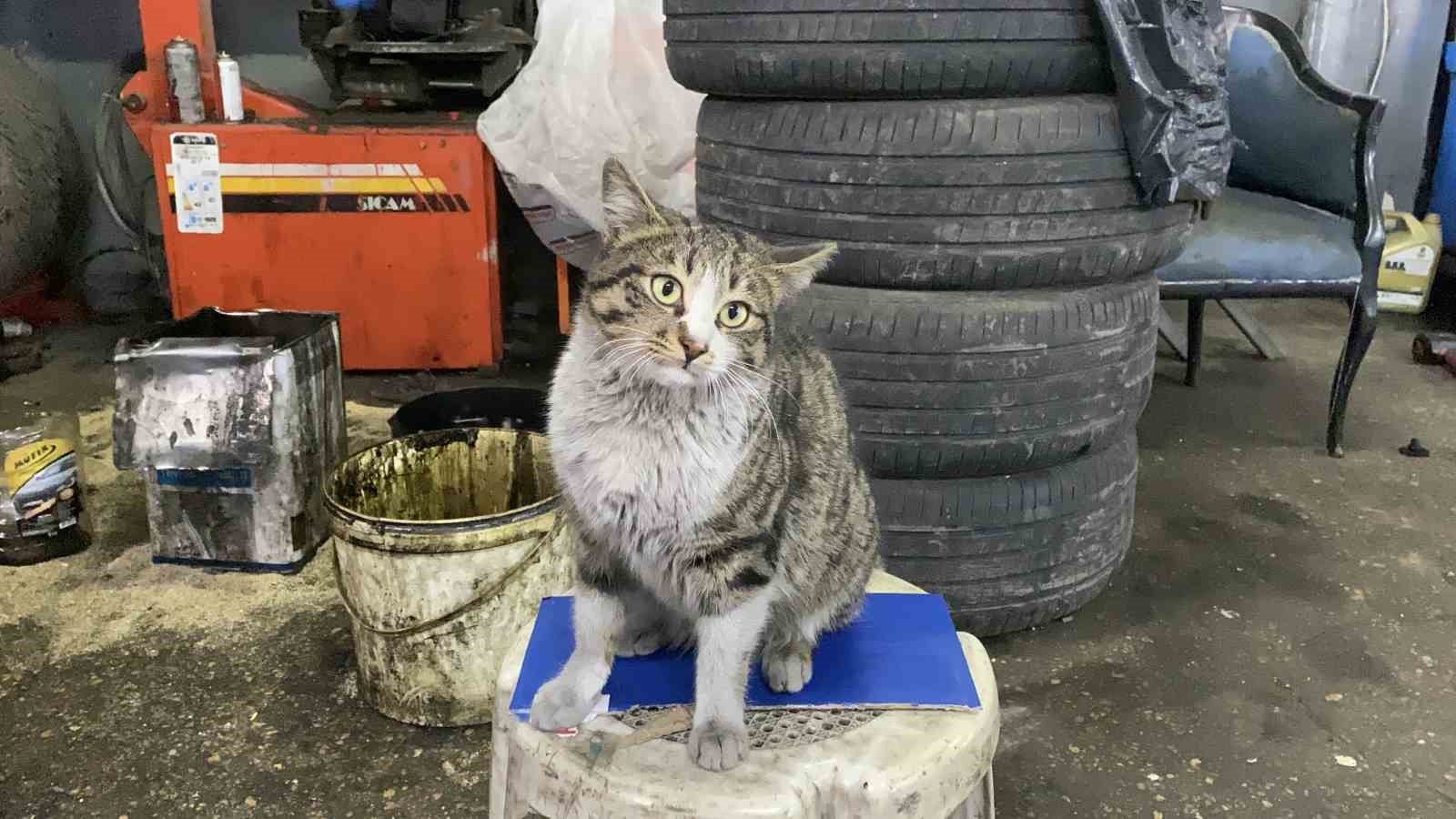 Oto tamircisinin en sadık &ccedil;ırağı "Şıkkıdı" oldu
