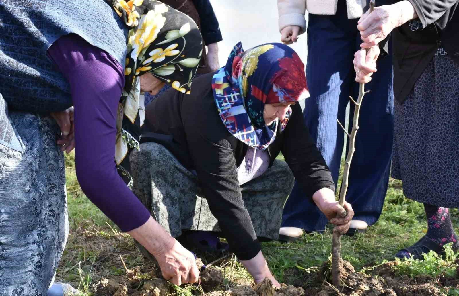 Sinop’ta kuşaklar arası gönül köprüsü fidanlarla kuruldu