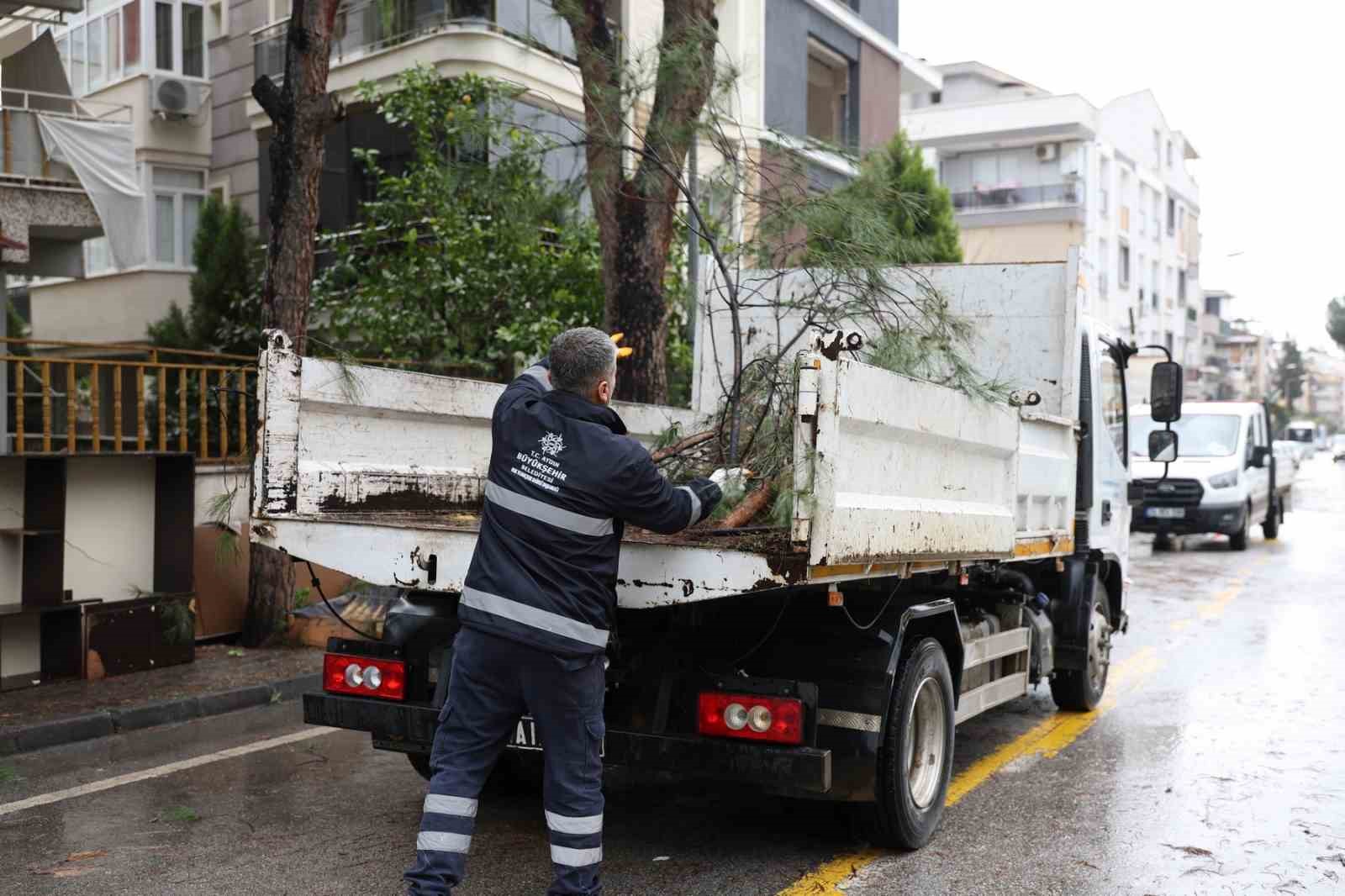 Aydın B&uuml;y&uuml;kşehir Belediyesi&rsquo;nden Efeler&rsquo;in yeşil alanlarına bakım
