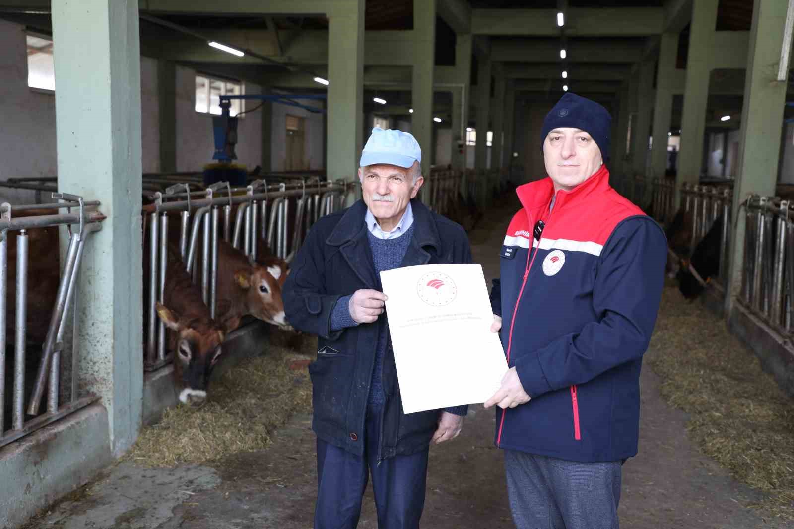 Hayvancılıkta örnek işletmenin ’Hastalıktan Ari Sertifikası’ yenilendi