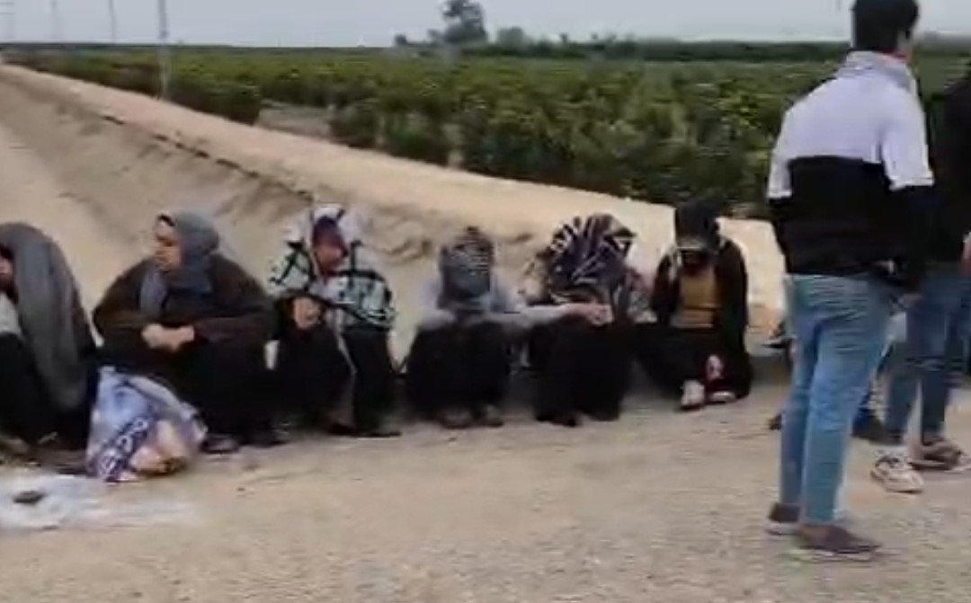 Adana’da trafik kazası: 1’i ağır 7 tarım işçisi yaralandı