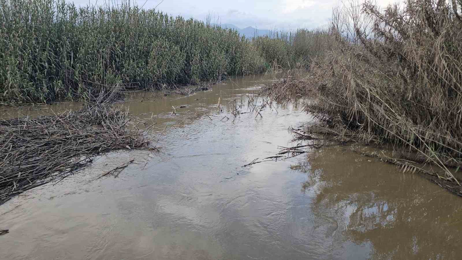 Sultanhisar&rsquo;da kurutma kanalı taştı, tarım arazileri g&ouml;le d&ouml;nd&uuml;
