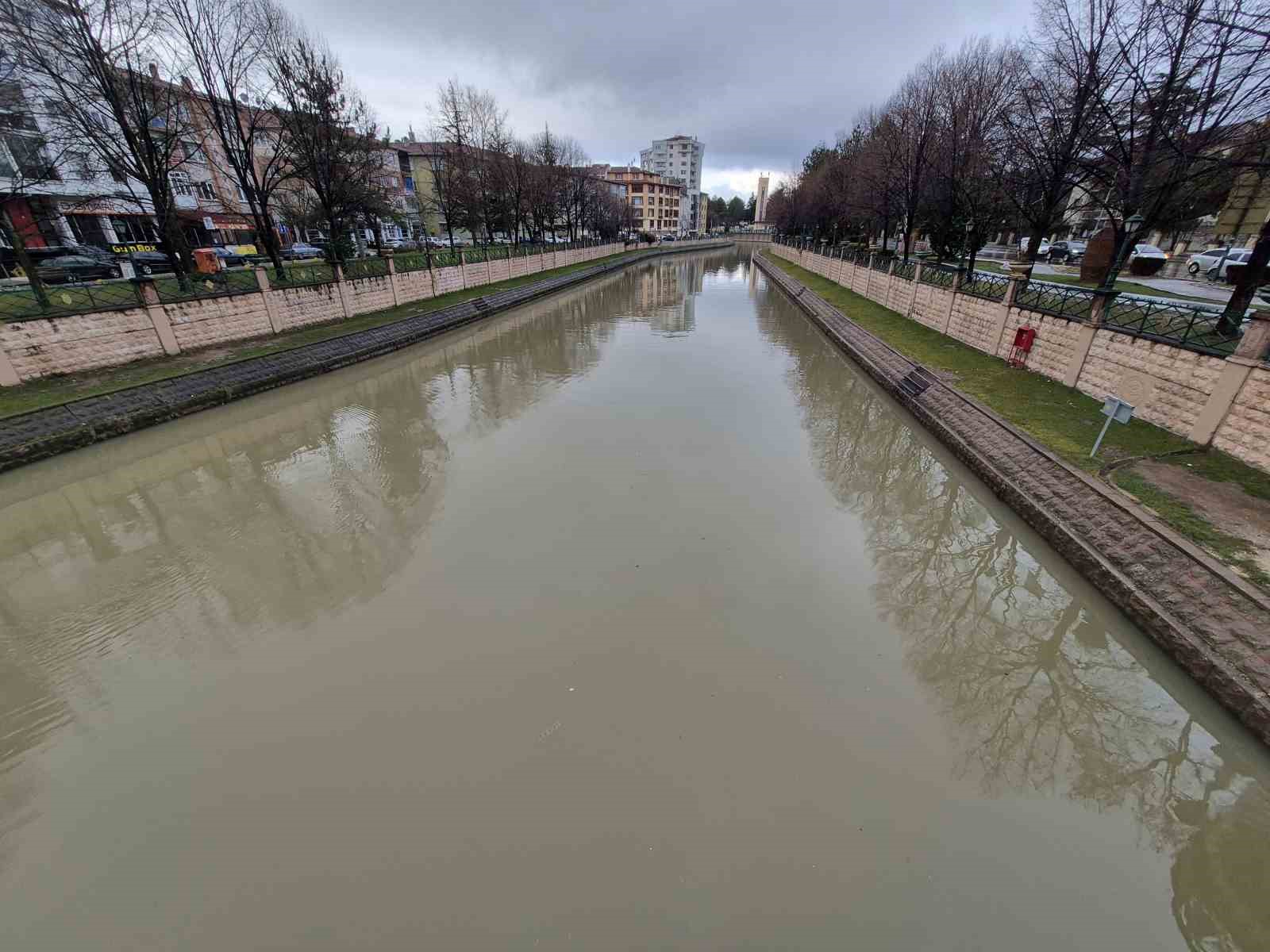 Porsuk &Ccedil;ayı kahverengi tonuna b&uuml;r&uuml;nd&uuml;

