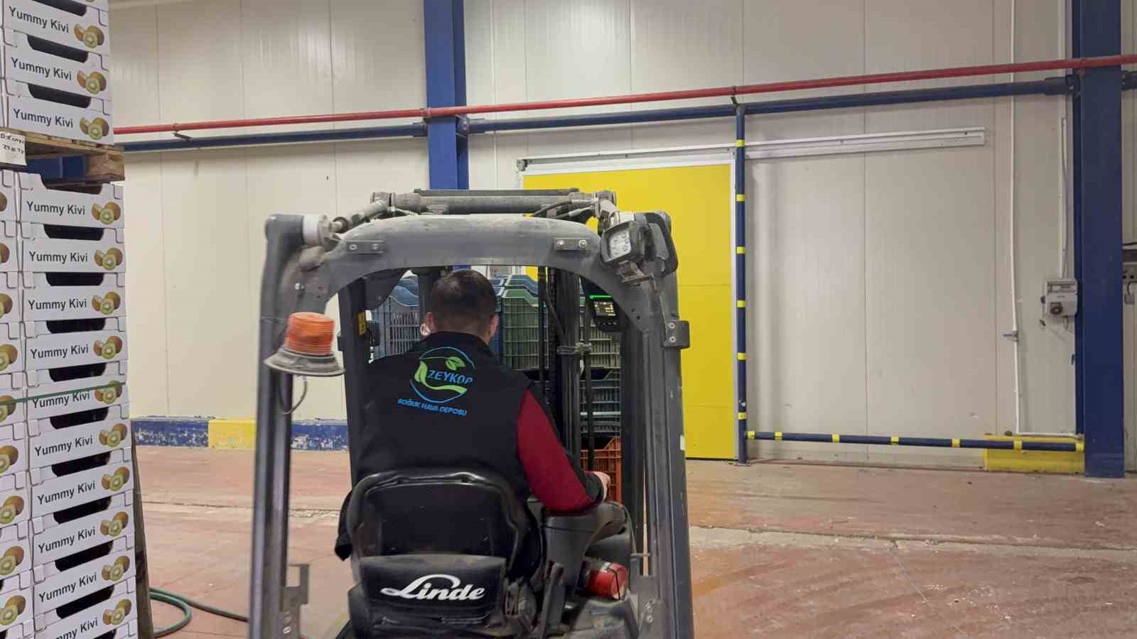 İznik&rsquo;te yetiştirilen dev kiviler ağırlıklarıyla rekor kırdı, Avrupa pazarının dikkatini &ccedil;ekti
