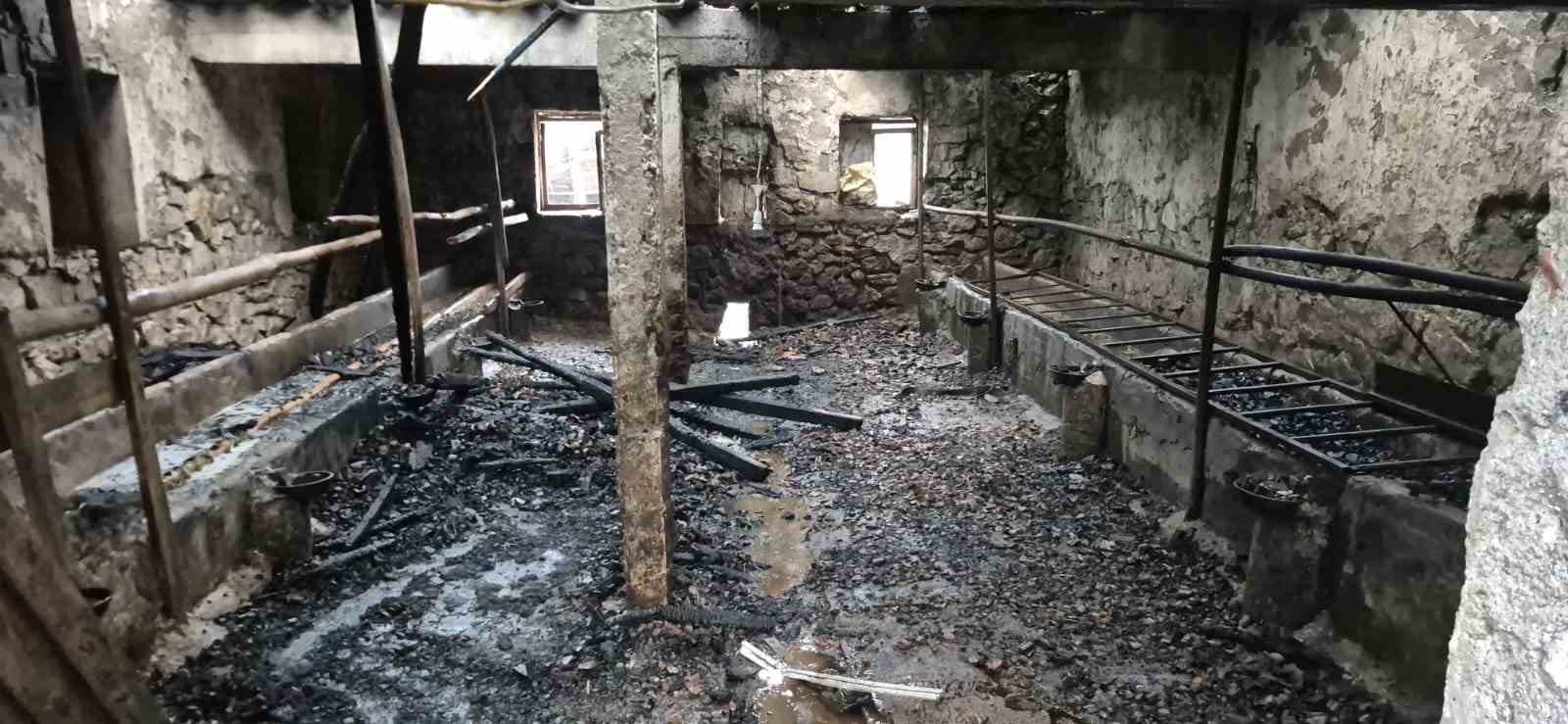 Amasya&rsquo;da ahır yangında k&uuml;l oldu: 1 hayvan telef oldu
