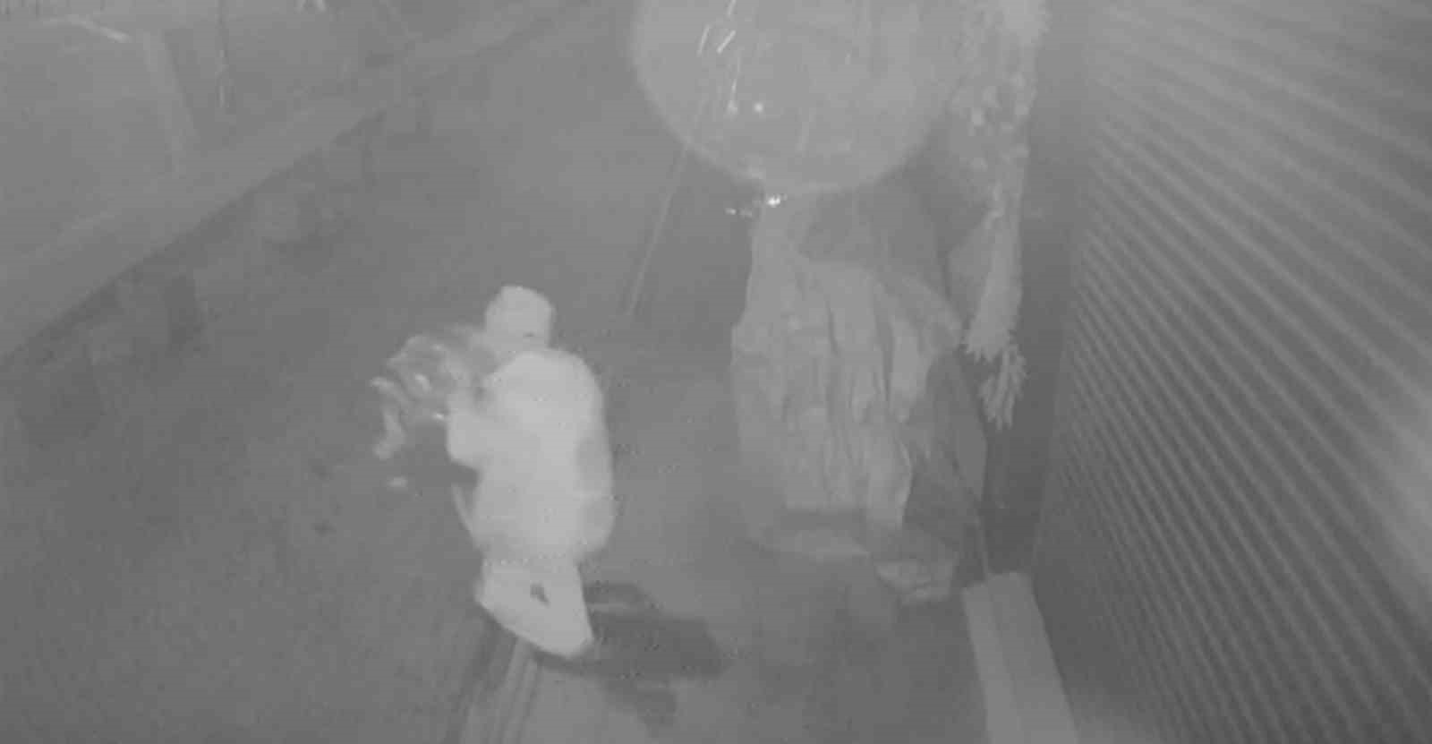 Çaldığı brandayı çöp poşetine sığdıramayınca eliyle taşıyarak götürdü