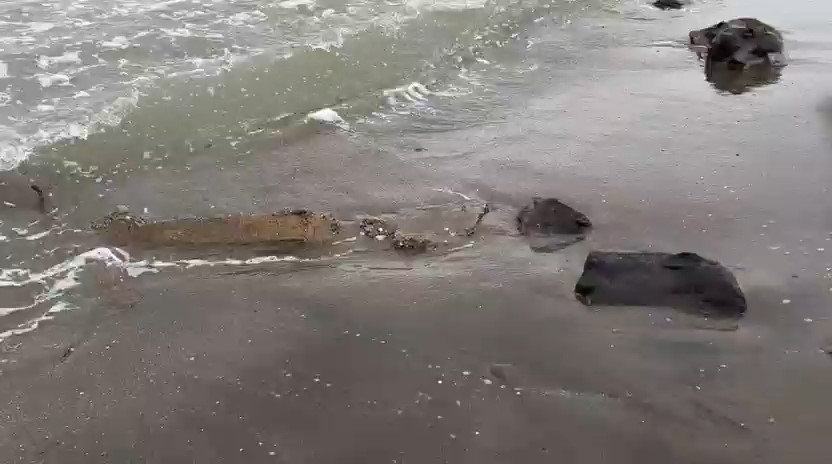 Samsun&rsquo;da denizde &ccedil;uvallar i&ccedil;inde inşaat malzemesi bulundu
