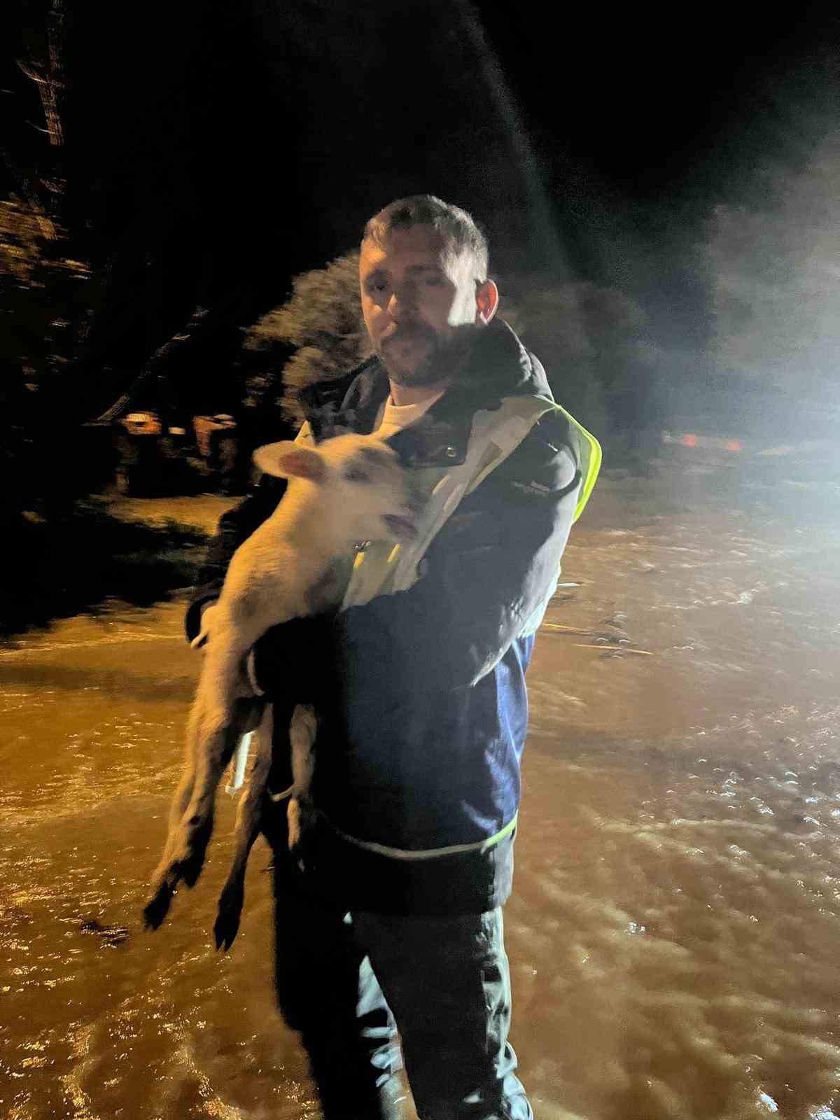 B&uuml;y&uuml;kşehir ekiplerinin &ouml;zverili &ccedil;abası: Mahsur kalan hayvanlar kurtarıldı
