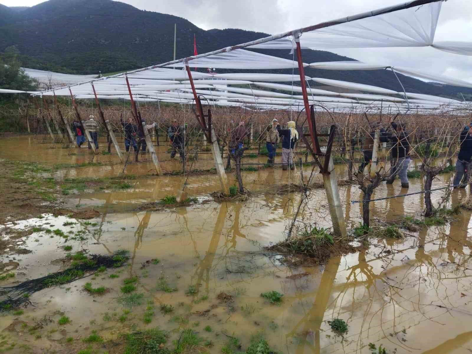 Göle dönen bağlarda budama mücadelesi