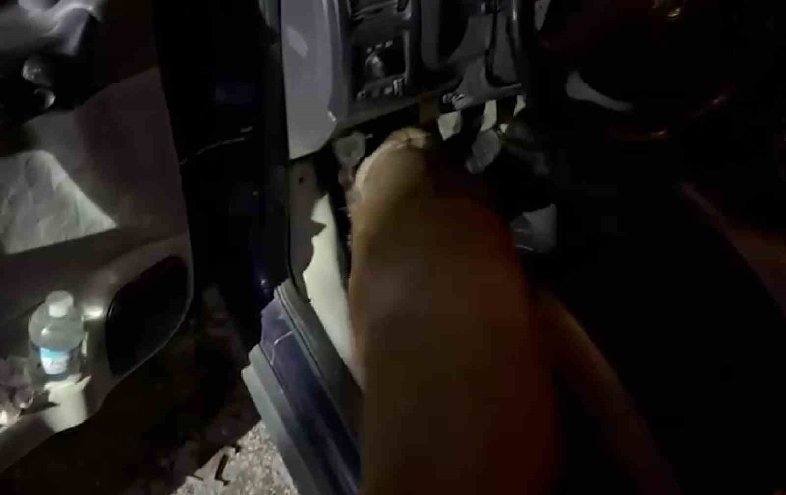 Uşak&rsquo;ta uyuşturucu operasyonu: 8 tutuklama
