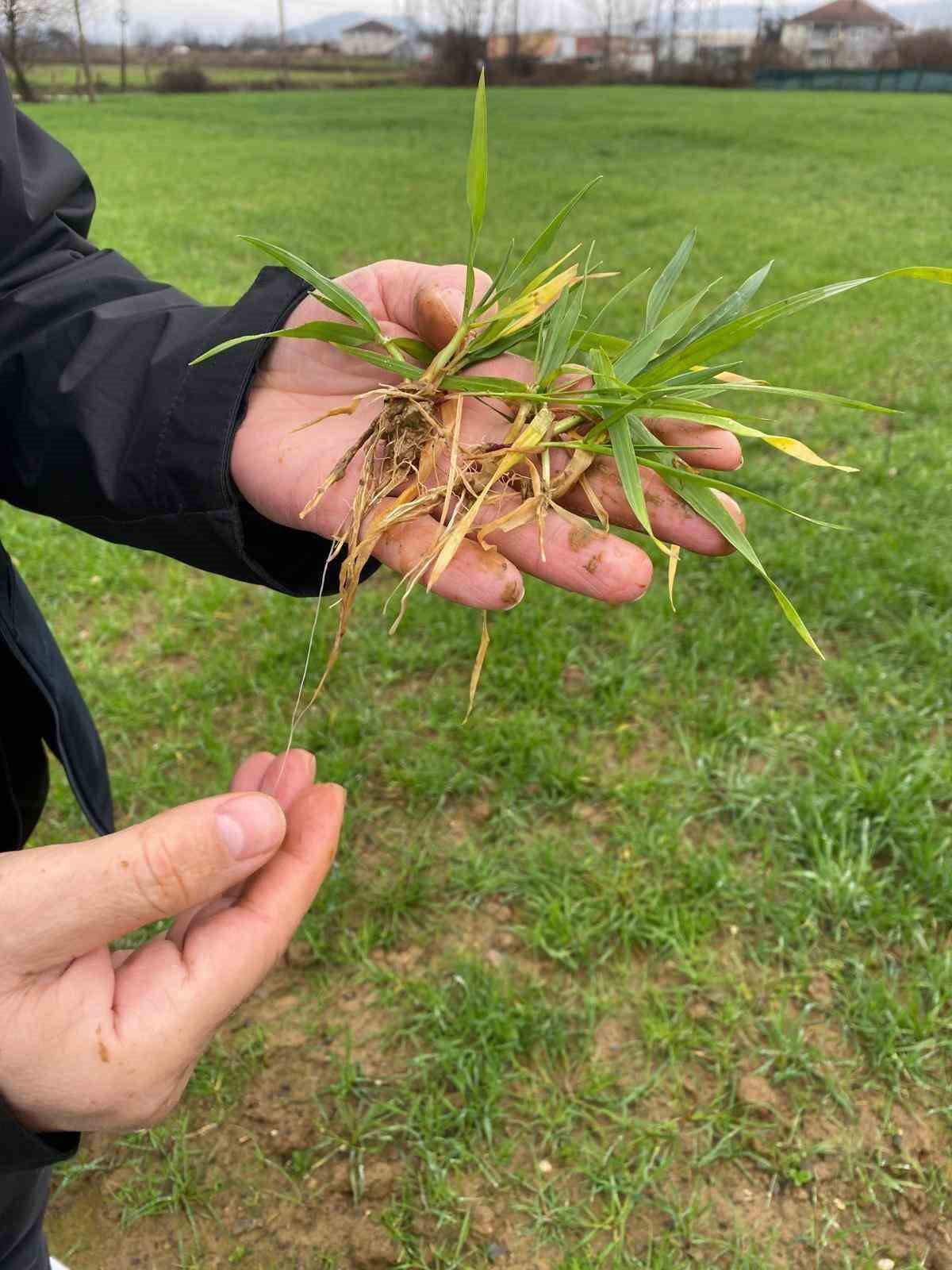 Kayıt altına alınıyor
