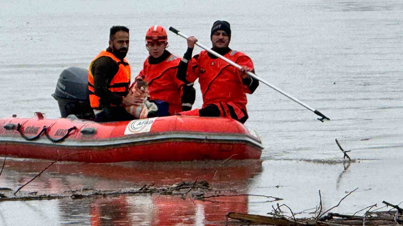 AFAD mahsur kalan hayvanları tahliye ediyor
