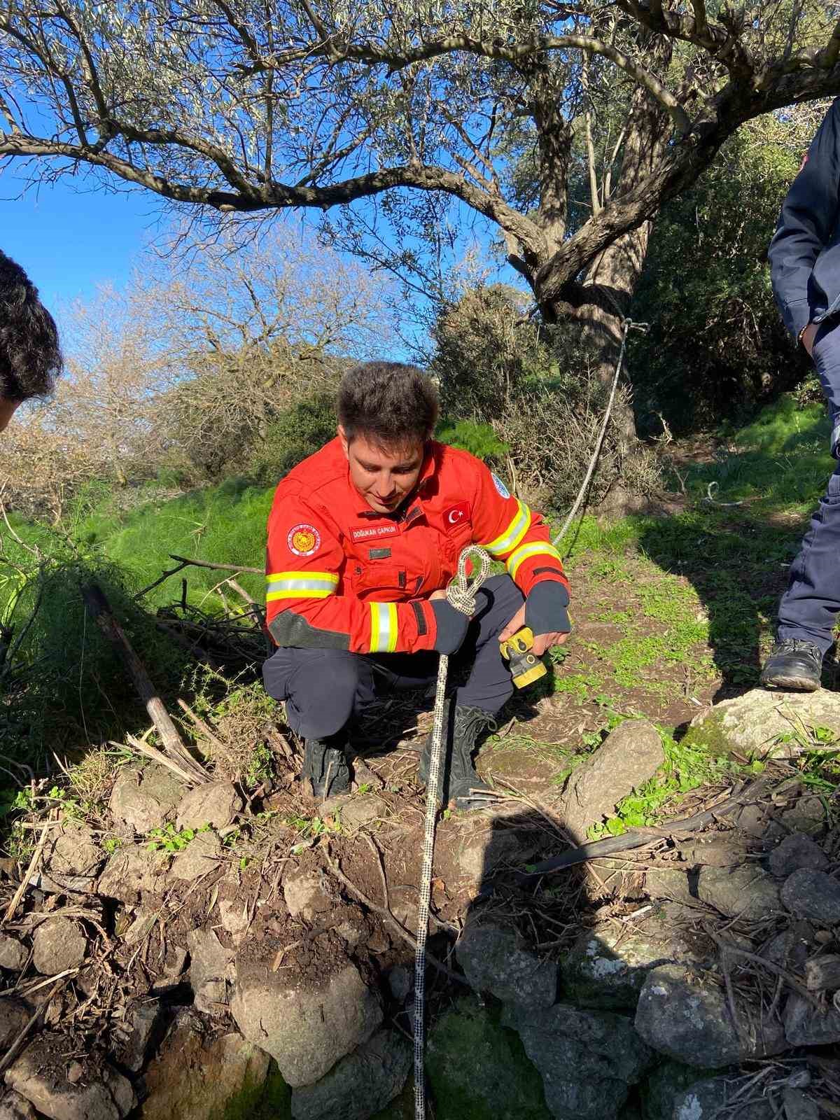 Kuyuya d&uuml;şen buzağı kurtarıldı
