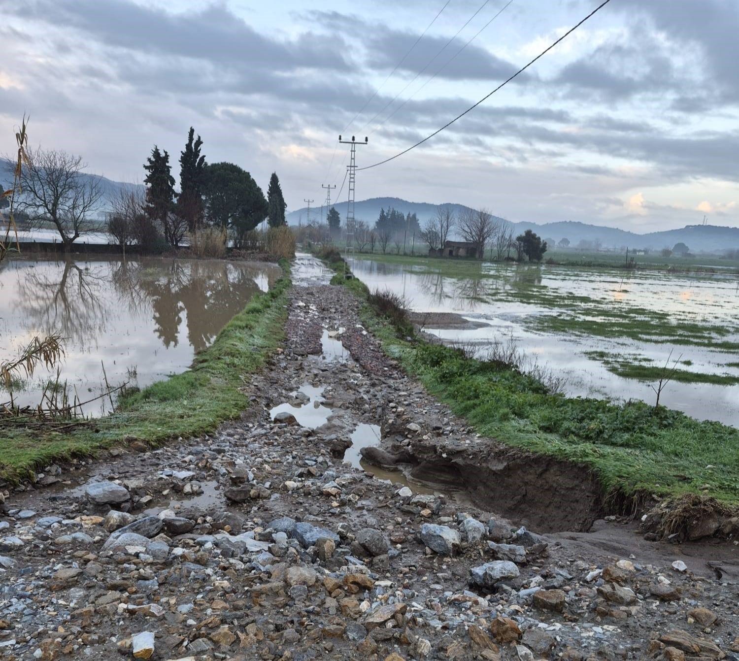 Söke’de aşırı yağışlar sonrası tarım alanlarında hasar tespiti