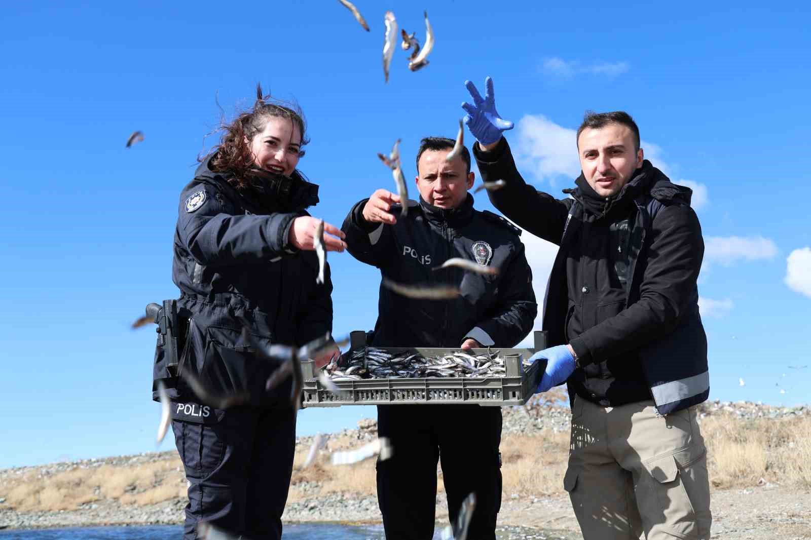 Doğu’nun gizli denizinde şefkat eli: Polis ekipleri martı ve tavşanları unutmadı